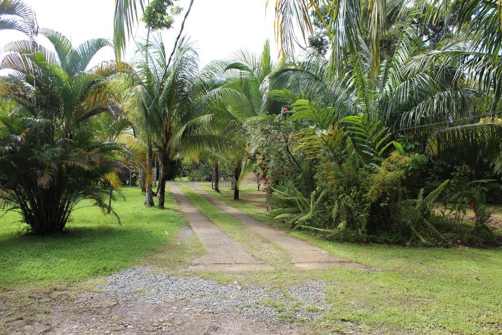 Villas Maria Luisa Uvita Exterior foto